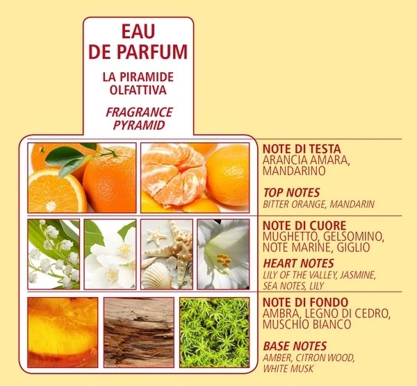 Dr. Taffi Profumo Acqua Di Bolgheri Corallo Ml. 80 2 Dr. Taffi Profumo Acqua Di Bolgheri Corallo Ml. 80 - immagine 2