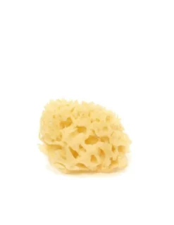 Cose Della Natura Spugna Naturale Arcipelago Sbiancata Viso Gr. 4/5