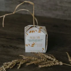 Ethical Grace Shampoo E Balsamo Solido 2 In 1 – “Piccoli Semi” Per Cuoio Capelluto Sensibile Gr. 90