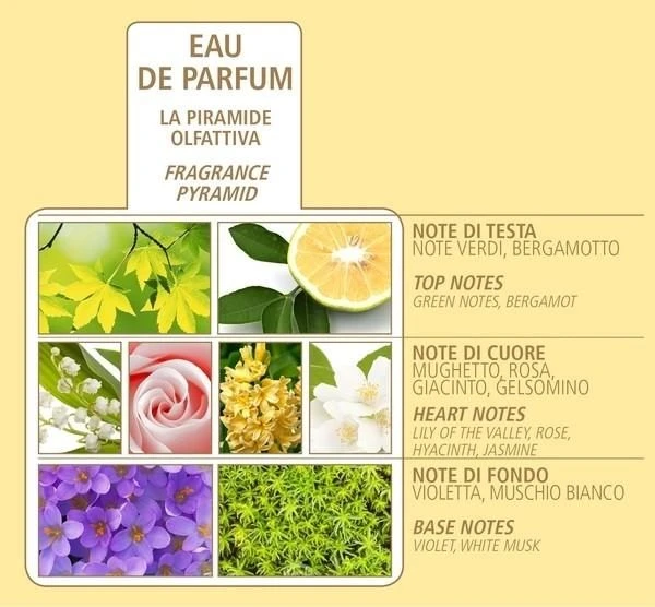 Dr. Taffi Acqua Di Bolgheri Profumo “Oro” Ml. 100 2 Dr. Taffi Acqua Di Bolgheri Profumo “Oro” Ml. 100 - immagine 2